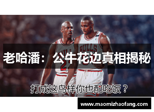 老哈潘：公牛花边真相揭秘